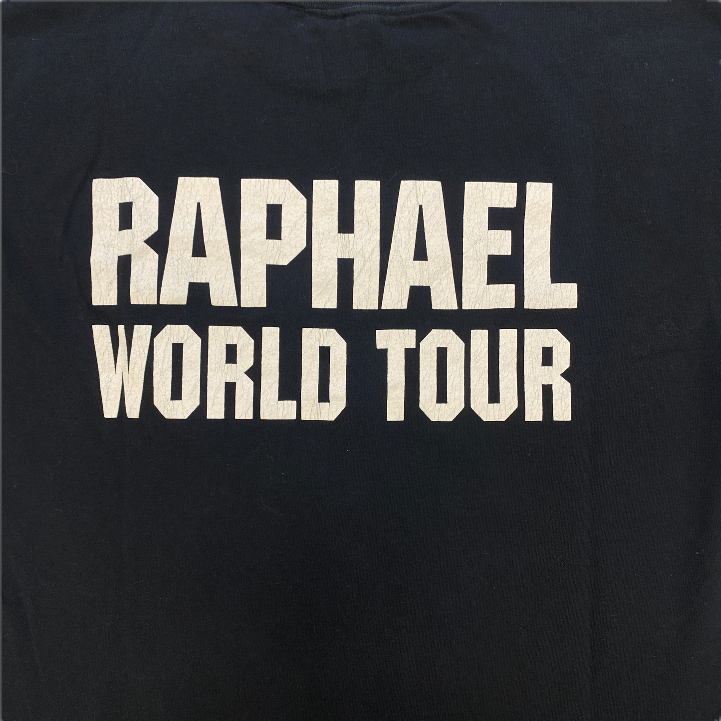 1990's Raphael World Tour Vintage Tee (S/M)